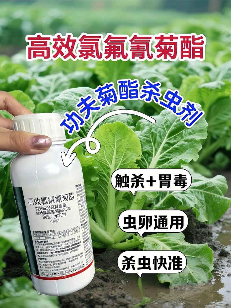 邯郸代生中心:农药对供卵代生妈妈的危害